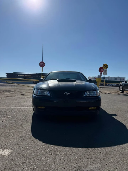 2004 Ford SN95 Mustang - Image 5 of 14