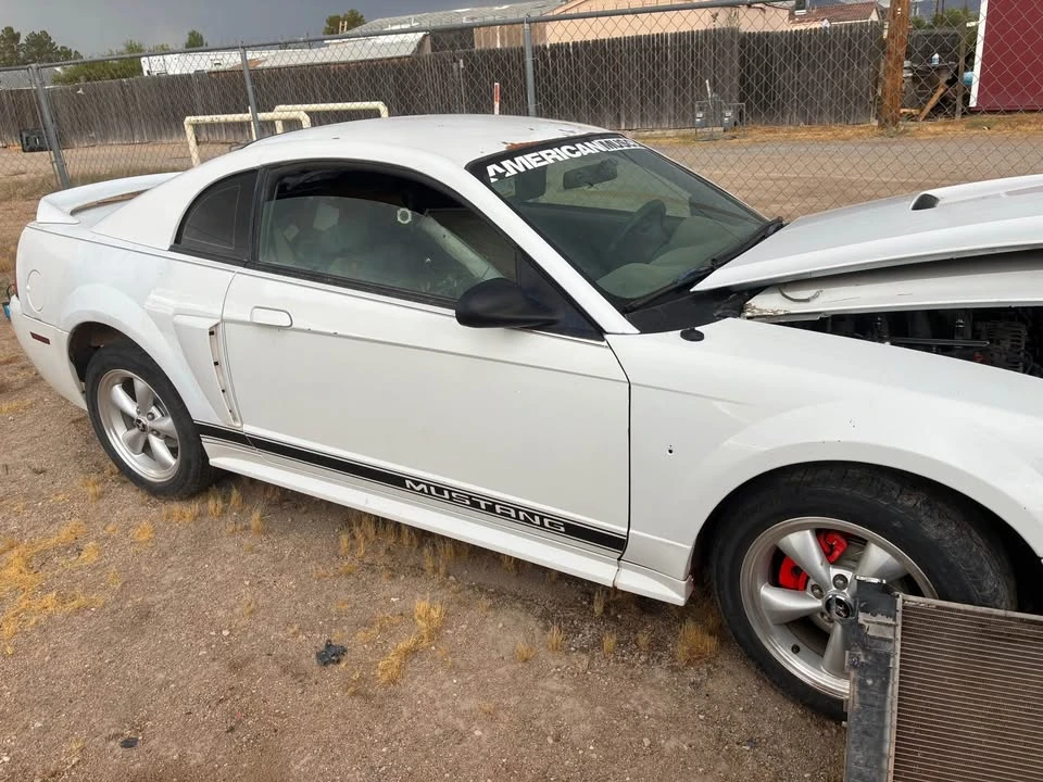 2004 Ford SN95 Mustang - Image 3 of 5