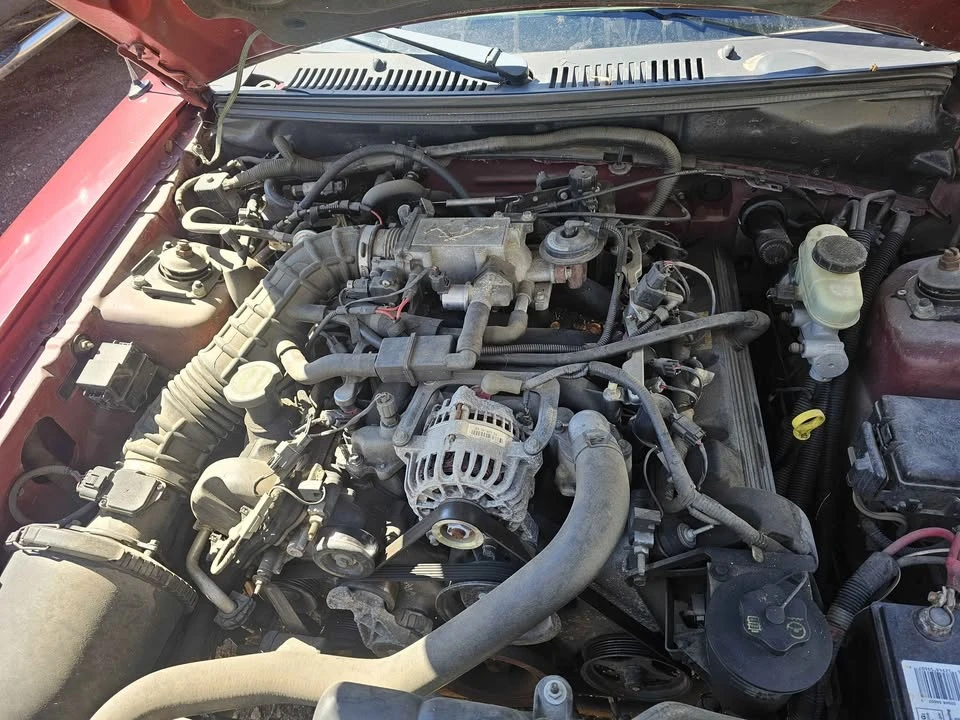 2004 Ford SN95 Mustang - Image 8 of 9