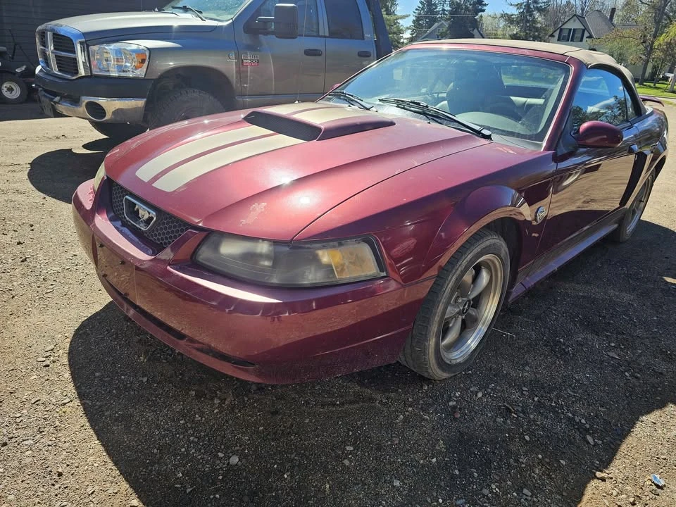 2004 Ford SN95 Mustang - Image 2 of 9