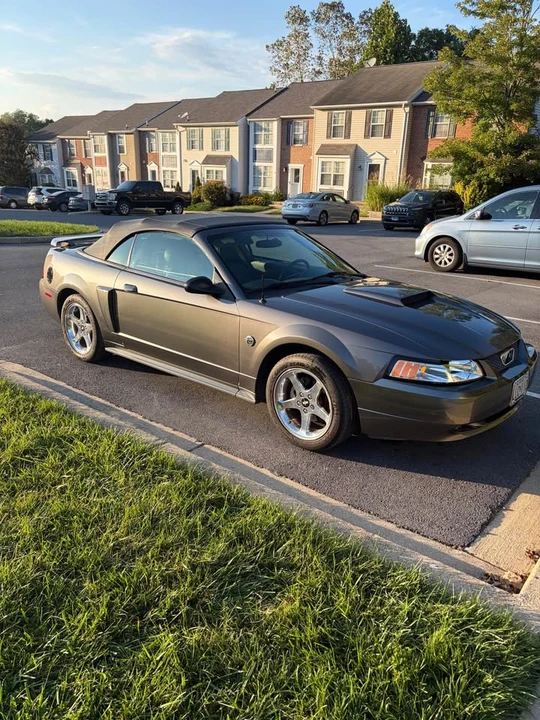 2004 Ford SN95 Mustang - Image 10 of 11