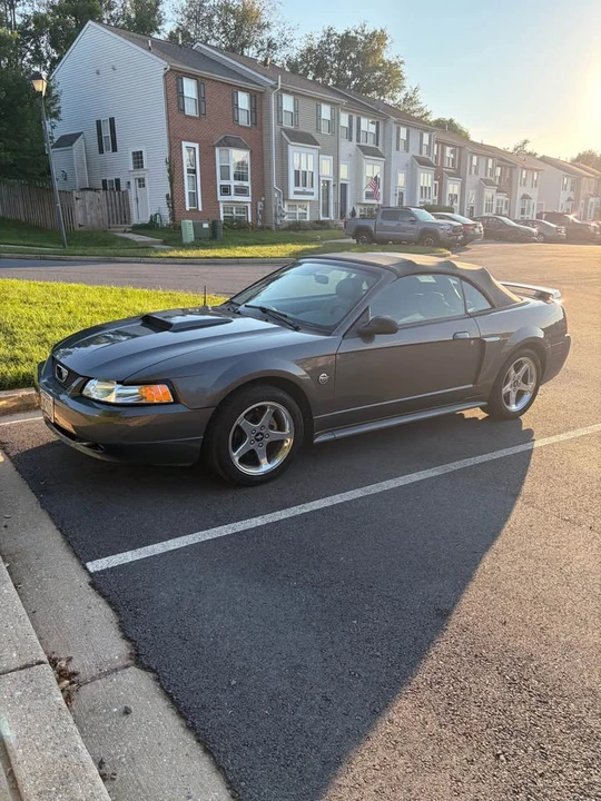 2004 Ford SN95 Mustang - Image 11 of 11