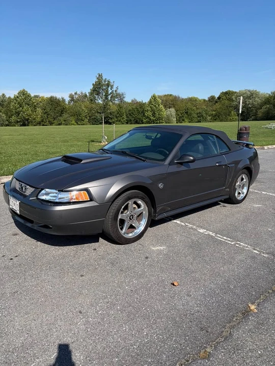 2004 Ford SN95 Mustang - Image 2 of 11