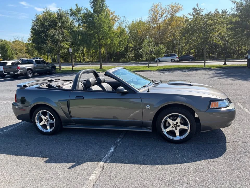 2004 Ford SN95 Mustang - Image 8 of 11