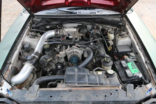 2004 Ford SN95 Mustang - Image 9 of 14