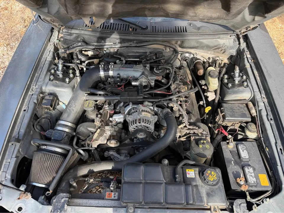 2004 Ford SN95 Mustang - Image 9 of 9
