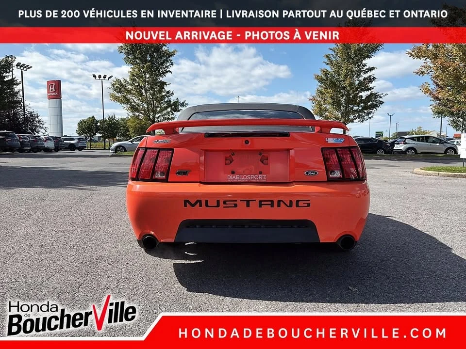 2004 Ford SN95 Mustang - Image 7 of 20