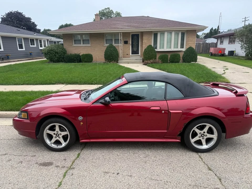 2004 Ford SN95 Mustang - Image 5 of 9