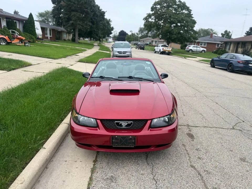 2004 Ford SN95 Mustang - Image 3 of 9