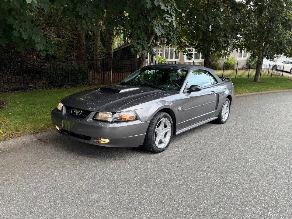 2004 Ford SN95 Mustang - Image 5 of 20