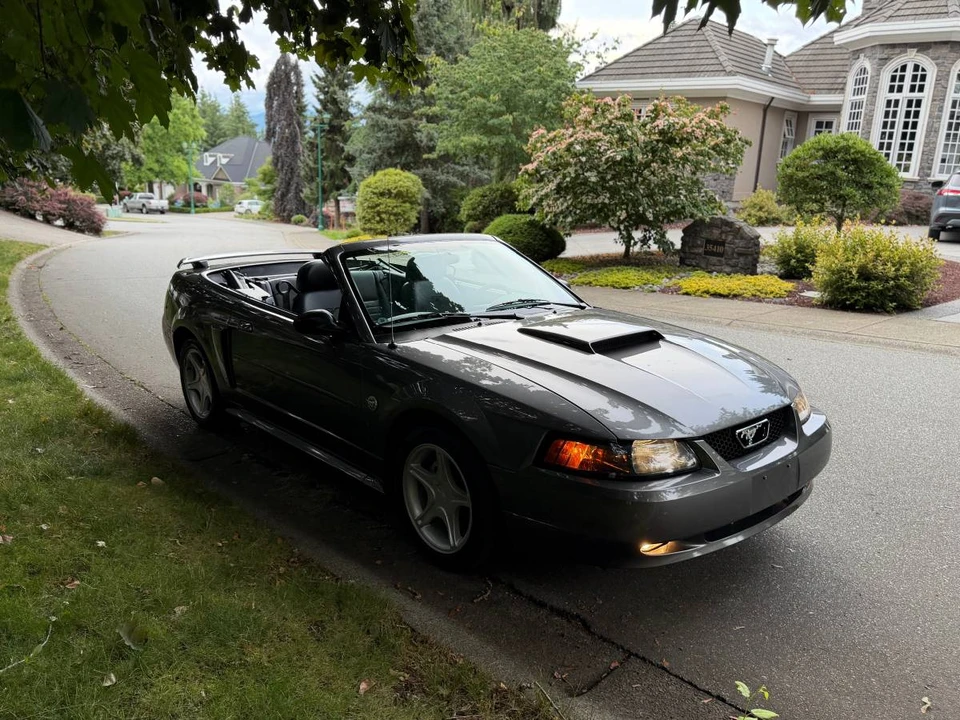 2004 Ford SN95 Mustang - Image 2 of 20