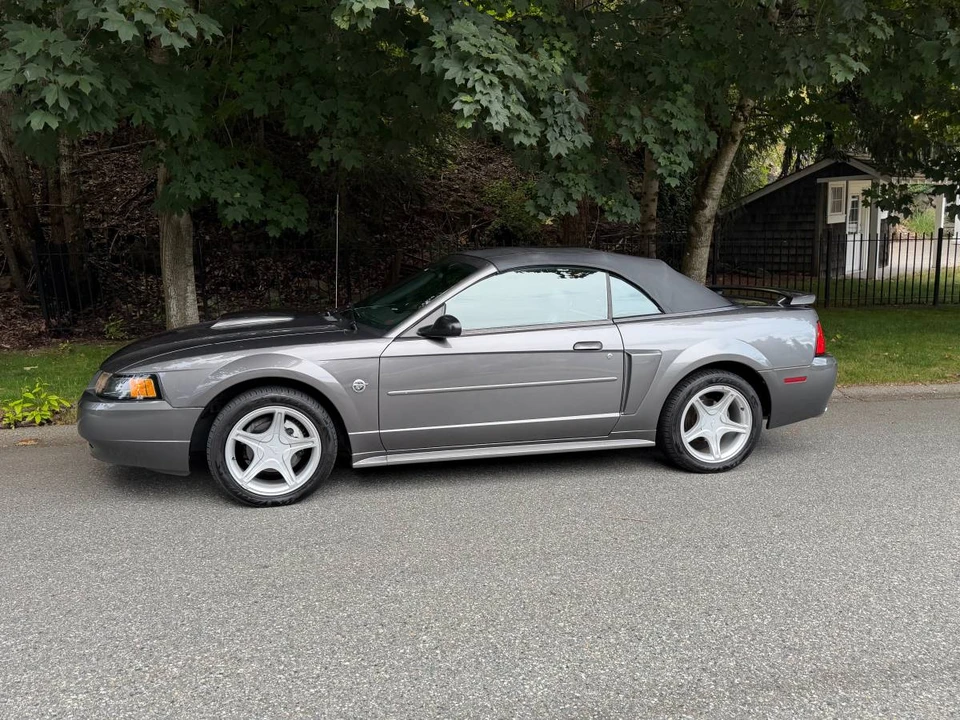 2004 Ford SN95 Mustang - Image 8 of 20
