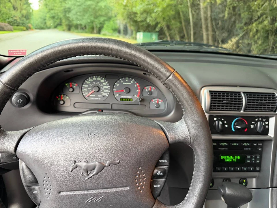 2004 Ford SN95 Mustang - Image 19 of 20