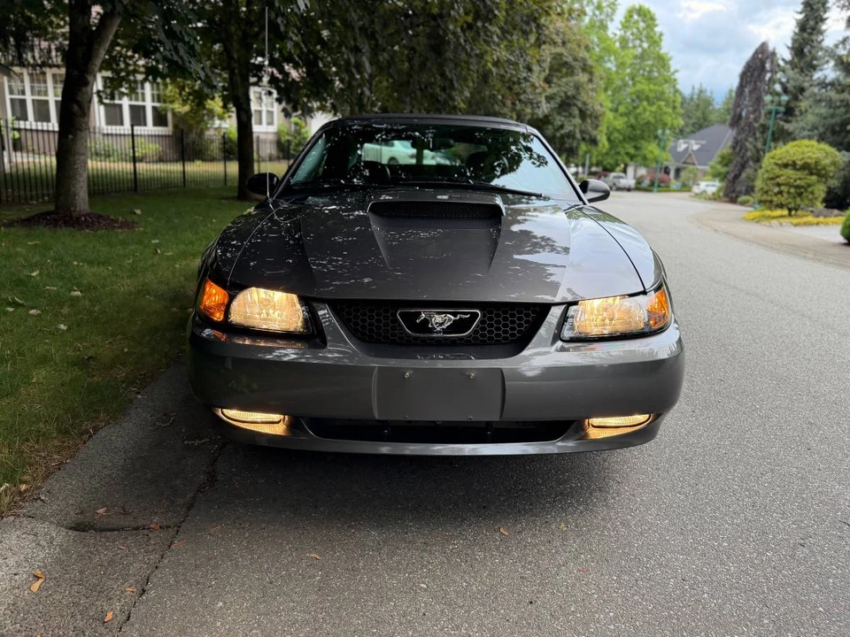 2004 Ford SN95 Mustang - Image 3 of 20