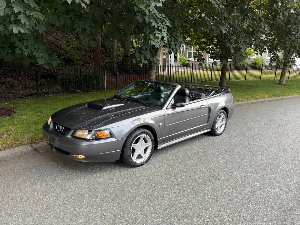 2004 Ford SN95 Mustang - Image 6 of 20