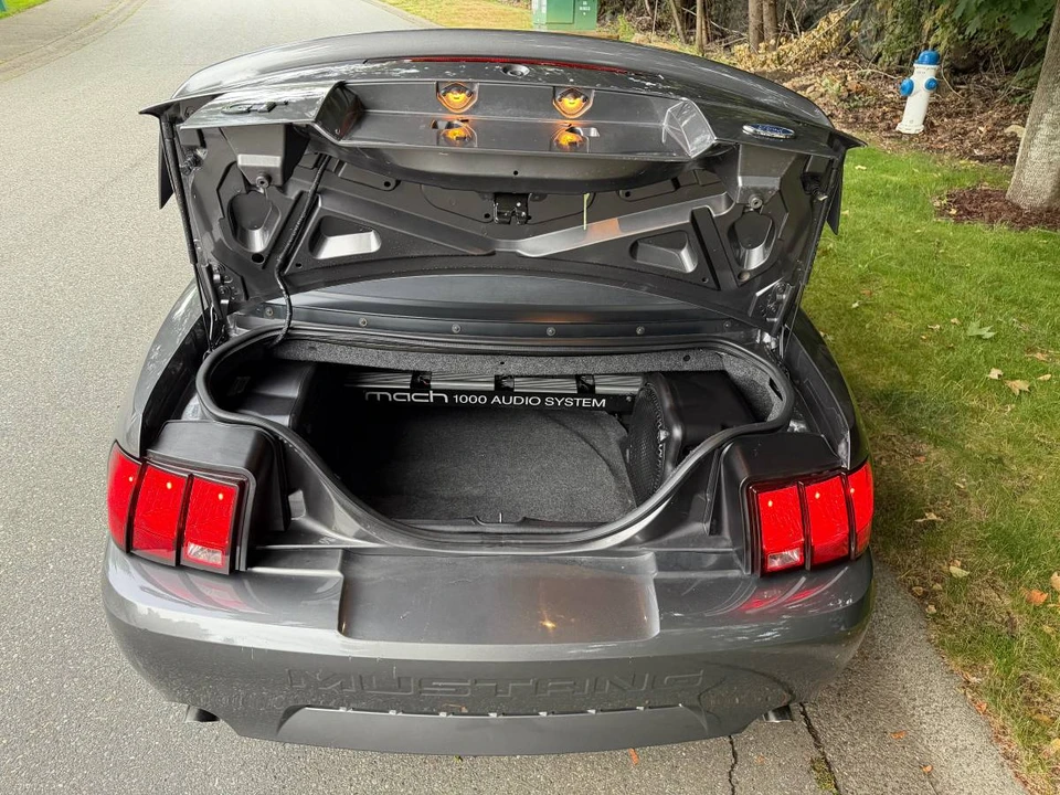 2004 Ford SN95 Mustang - Image 12 of 20
