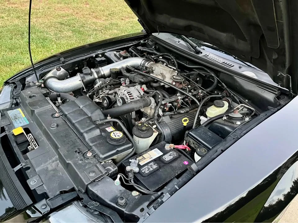 2004 Ford SN95 Mustang - Image 9 of 20