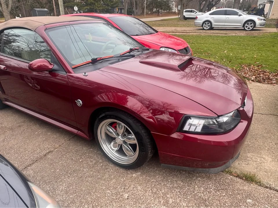 2004 Ford SN95 Mustang - Image 3 of 21