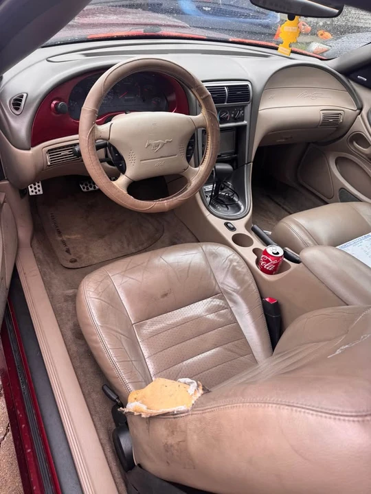 2004 Ford SN95 Mustang - Image 10 of 21