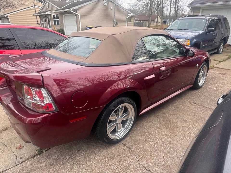 2004 Ford SN95 Mustang - Image 4 of 21