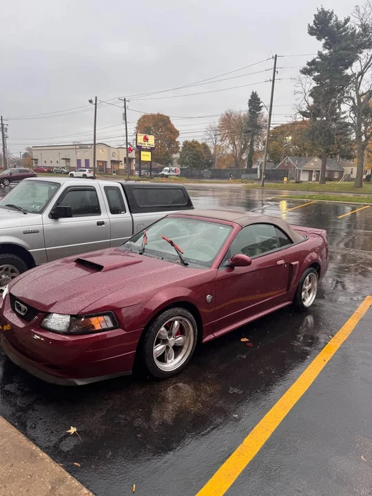 2004 Ford SN95 Mustang - Image 7 of 21