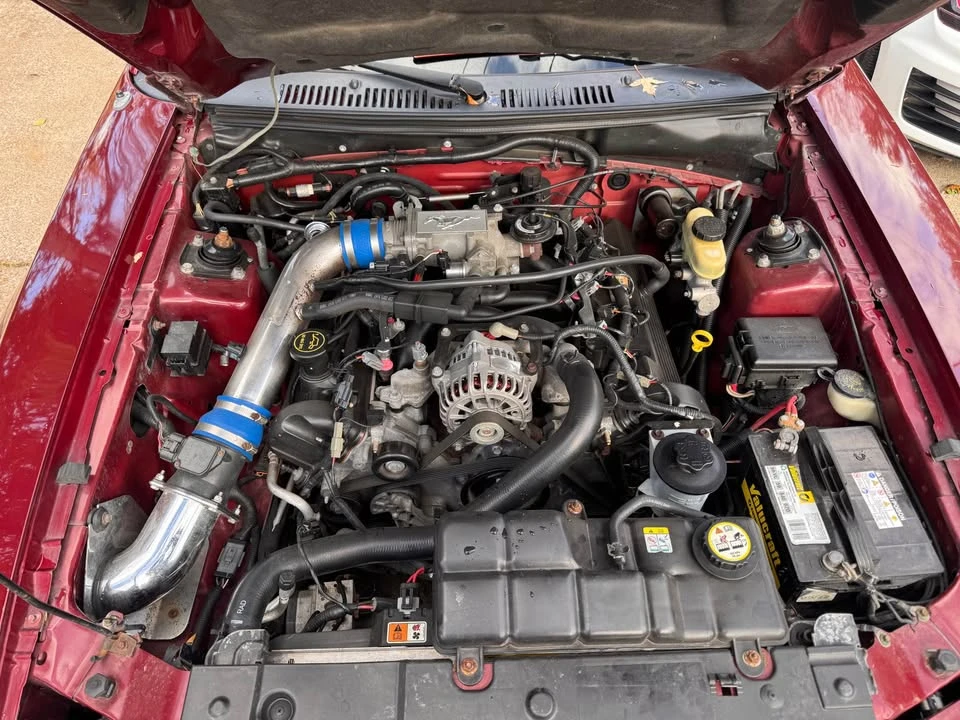 2004 Ford SN95 Mustang - Image 8 of 21