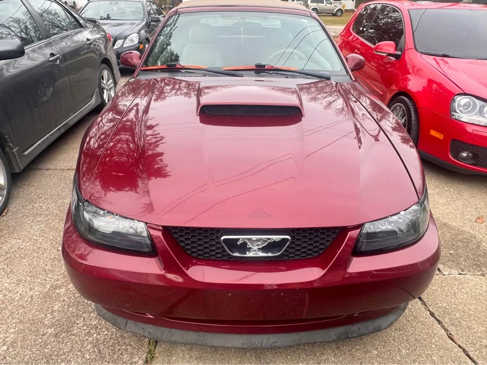 2004 Ford SN95 Mustang - Image 2 of 21