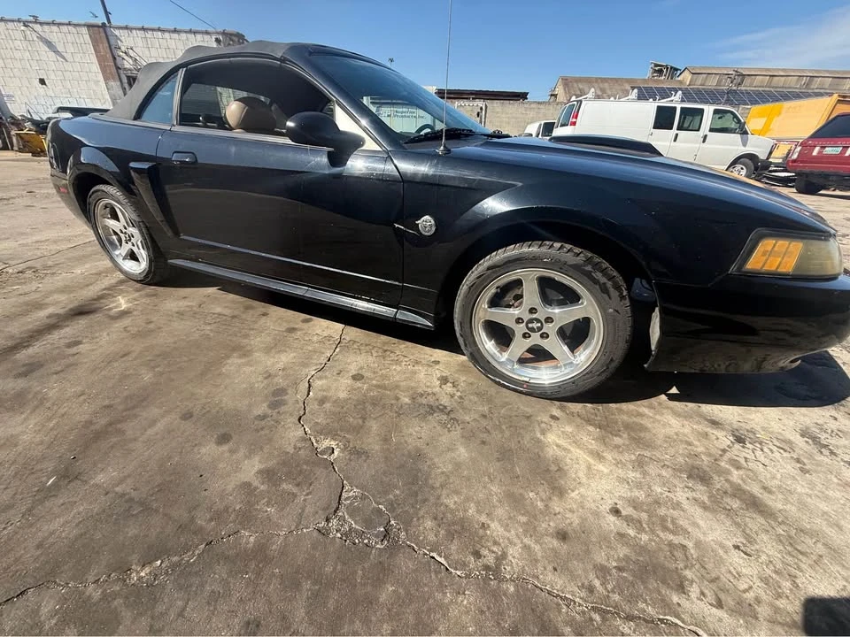 2004 Ford SN95 Mustang - Image 14 of 21