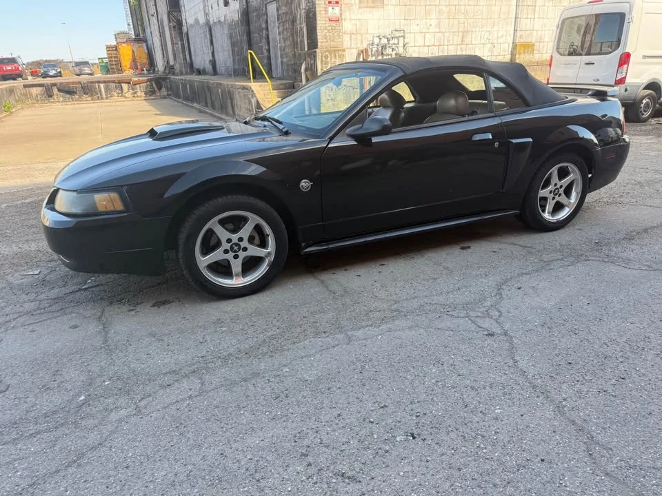 2004 Ford SN95 Mustang - Image 2 of 21