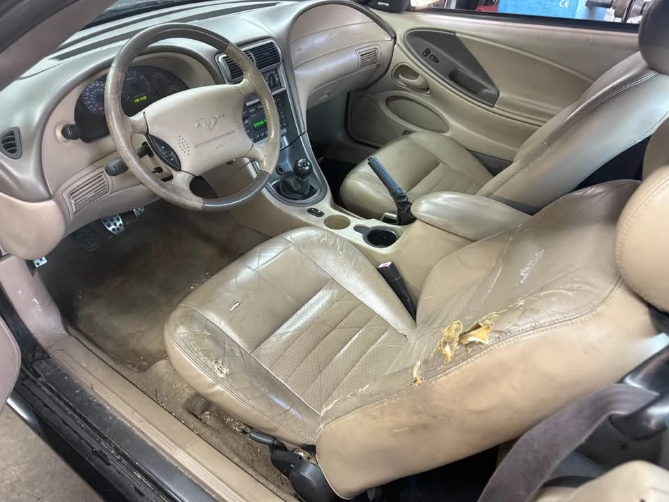 2004 Ford SN95 Mustang - Image 5 of 21