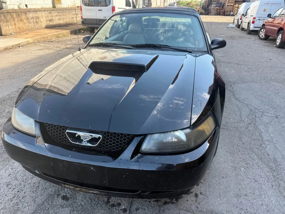 2004 Ford SN95 Mustang - Image 16 of 21