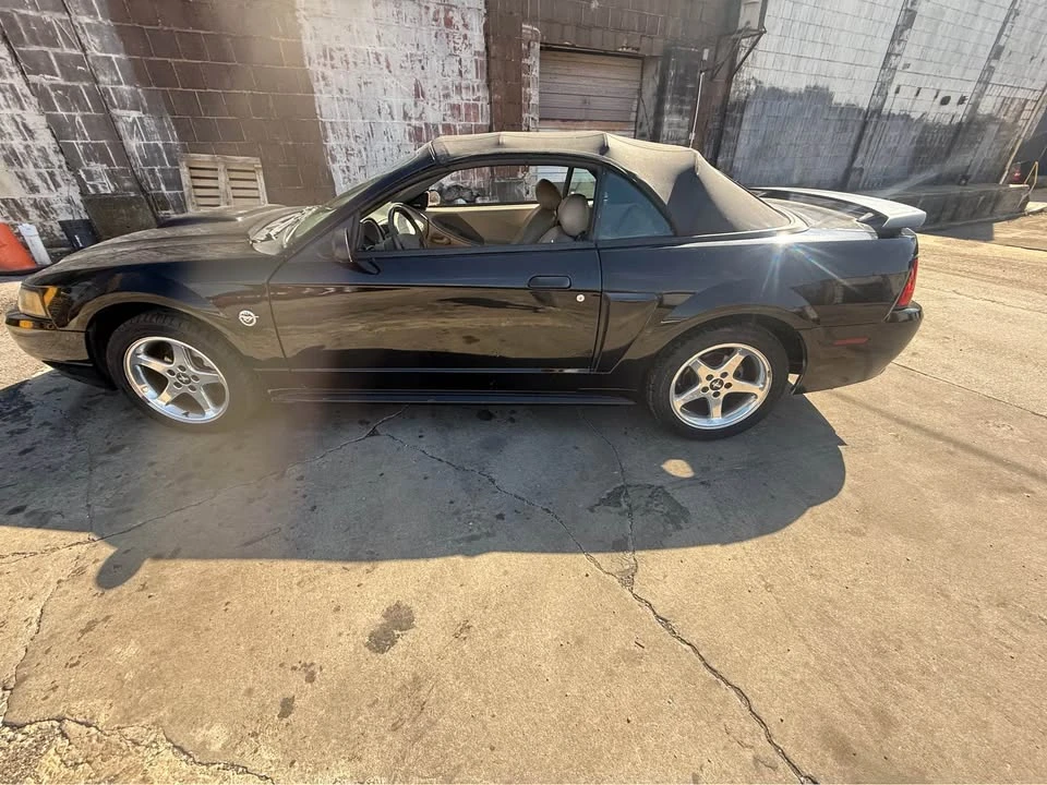 2004 Ford SN95 Mustang - Image 15 of 21
