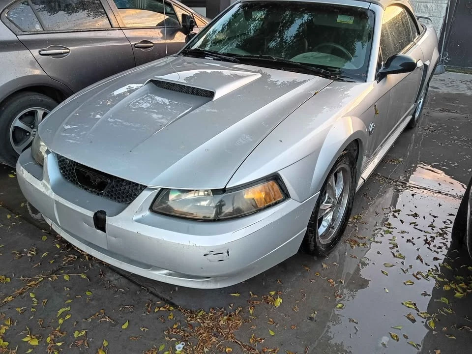2004 Ford SN95 Mustang - Image 2 of 2