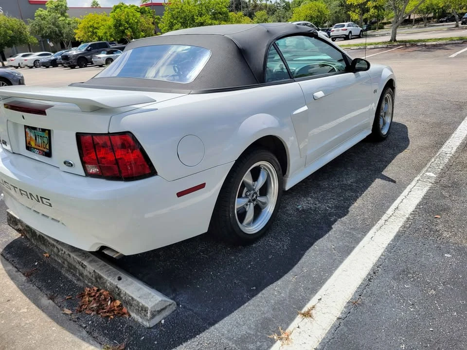 2004 Ford SN95 Mustang - Image 4 of 12