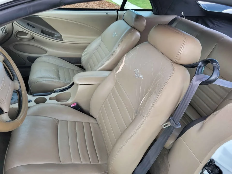 2004 Ford SN95 Mustang - Image 8 of 12