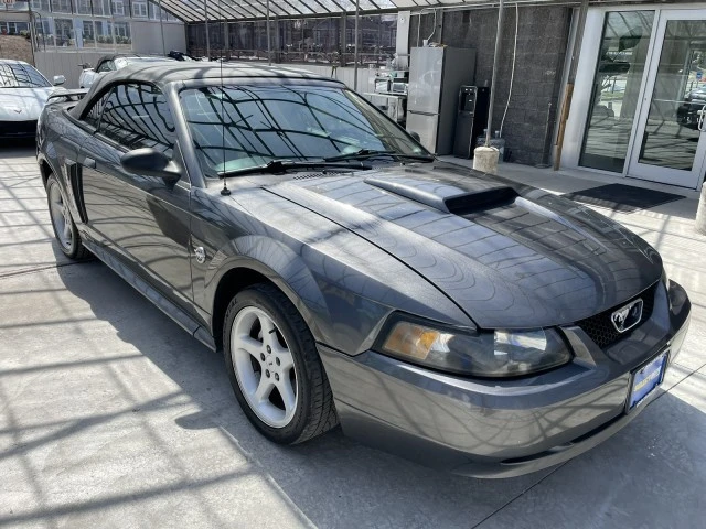 2004 Ford SN95 Mustang - Image 5 of 21