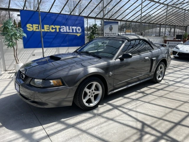 2004 Ford SN95 Mustang - Image 14 of 21