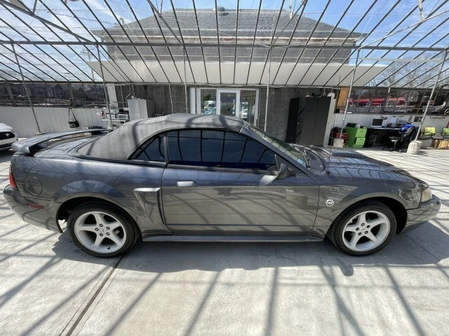 2004 Ford SN95 Mustang - Image 6 of 21