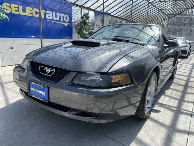 2004 Ford SN95 Mustang - Image 13 of 21