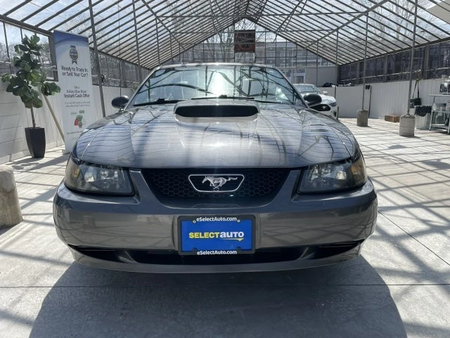 2004 Ford SN95 Mustang - Image 12 of 21