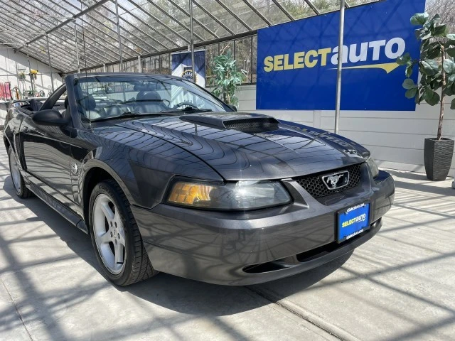 2004 Ford SN95 Mustang - Image 2 of 21