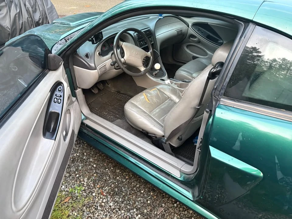 2004 Ford SN95 Mustang - Image 8 of 9