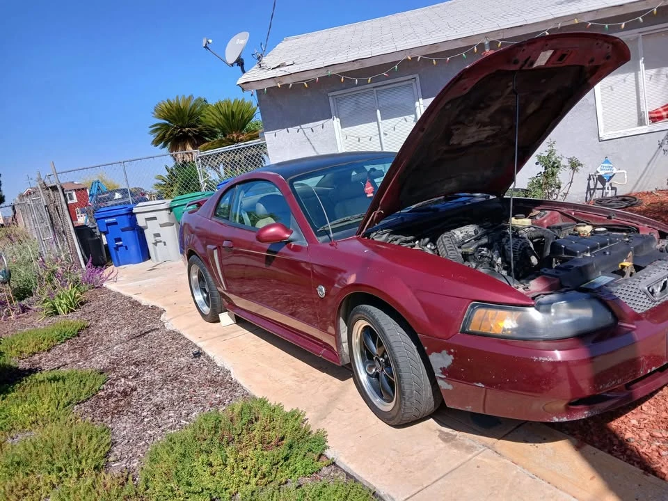 2004 Ford SN95 Mustang - Image 2 of 6
