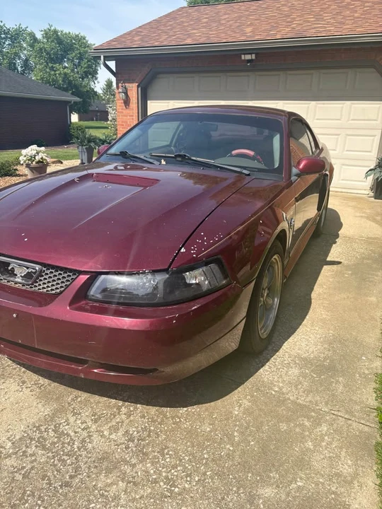 2004 Ford SN95 Mustang - Image 4 of 6