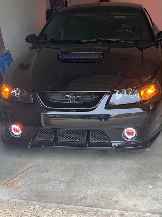 2004 Ford SN95 Mustang - Image 10 of 14