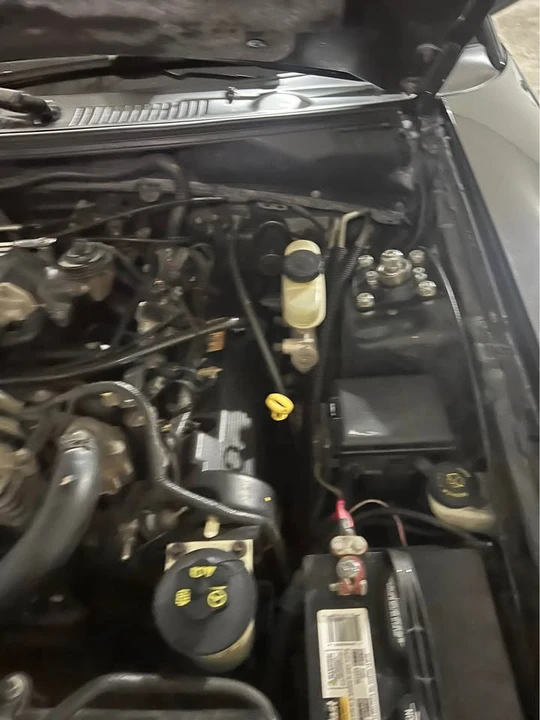2004 Ford SN95 Mustang - Image 13 of 14