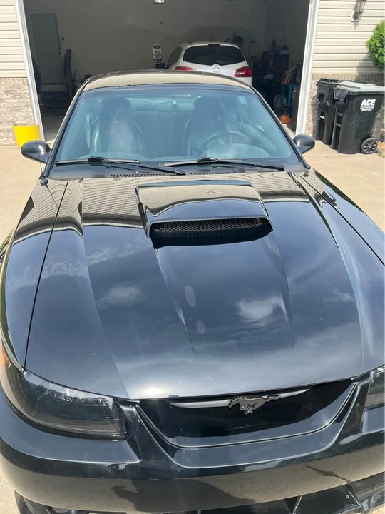 2004 Ford SN95 Mustang - Image 3 of 14