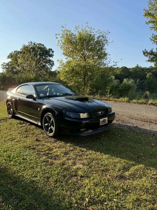 2004 Ford SN95 Mustang - Image 6 of 7