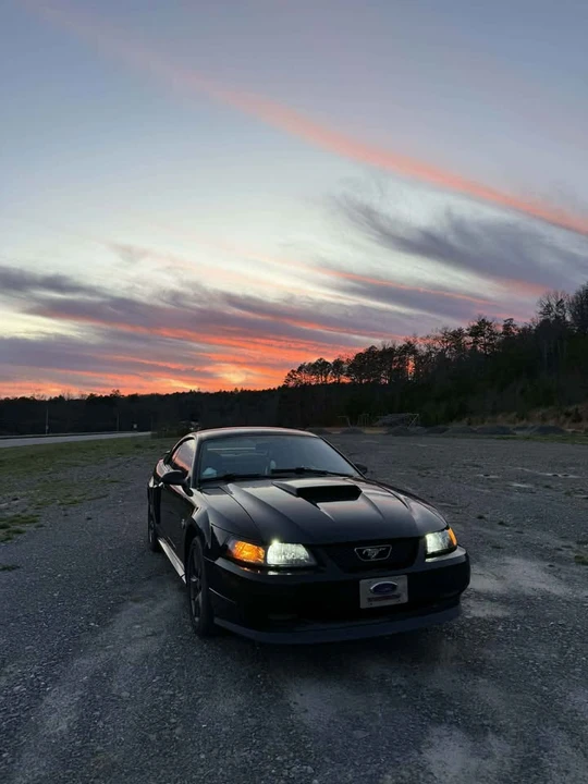 2004 Ford SN95 Mustang - Image 7 of 7