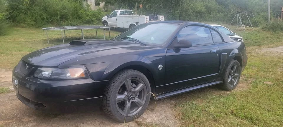 2004 Ford SN95 Mustang - Image 3 of 7